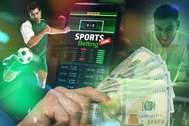 Betwinner Your Guide to Betting Success