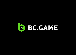 Understanding BC.Game's KYC and AML Verification Processes