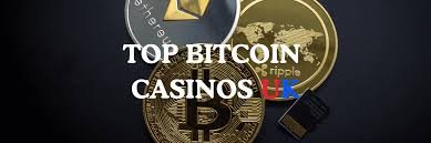 Unlocking the Future The Rise of New Crypto Casinos