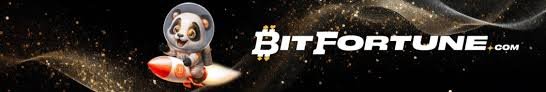 Bitfortune Fast Transfers Wallet Setup A Comprehensive Guide -1247517496
