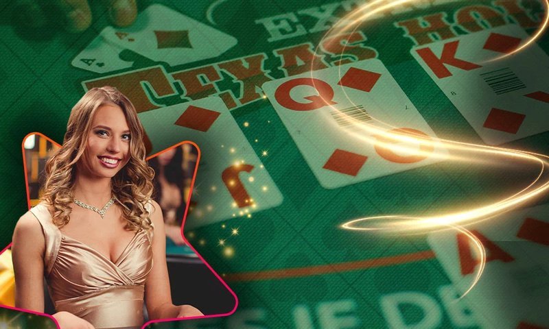 Best piperspin Netherlands in Netherlands