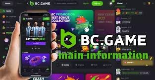Experience Thrills at BC.Game Casino Your Ultimate Gaming Destination