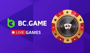 Explore the Exciting World of BC.Game Hub