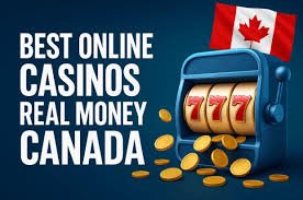 Best Live Online Casinos The Ultimate Guide for Players