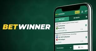 BetWinner Sportsbook A Comprehensive Guide