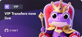 Comprehensive Review of Cybet Casino Unlock the Thrill of Online Gaming