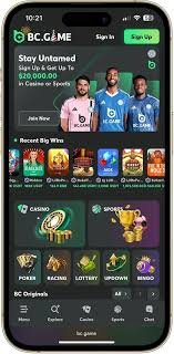 Understanding the BC.Game Login Process A Step-by-Step Guide -607607542