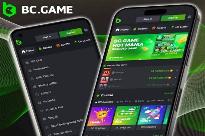 Experience the Thrill of BC.Game App A Guide for Indonesian Players