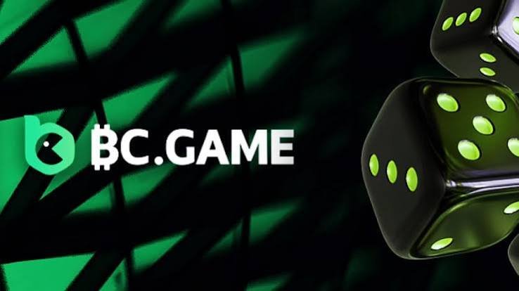 Experience the Thrill of Gaming at BC.Game Online Crypto Casino